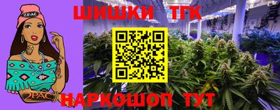 МДПВ Партизанск