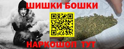 МДПВ Партизанск