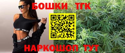 МДПВ Партизанск