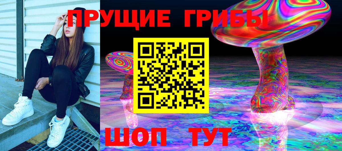 Галлюциногенные грибы Psilocybine cubensis Саянск