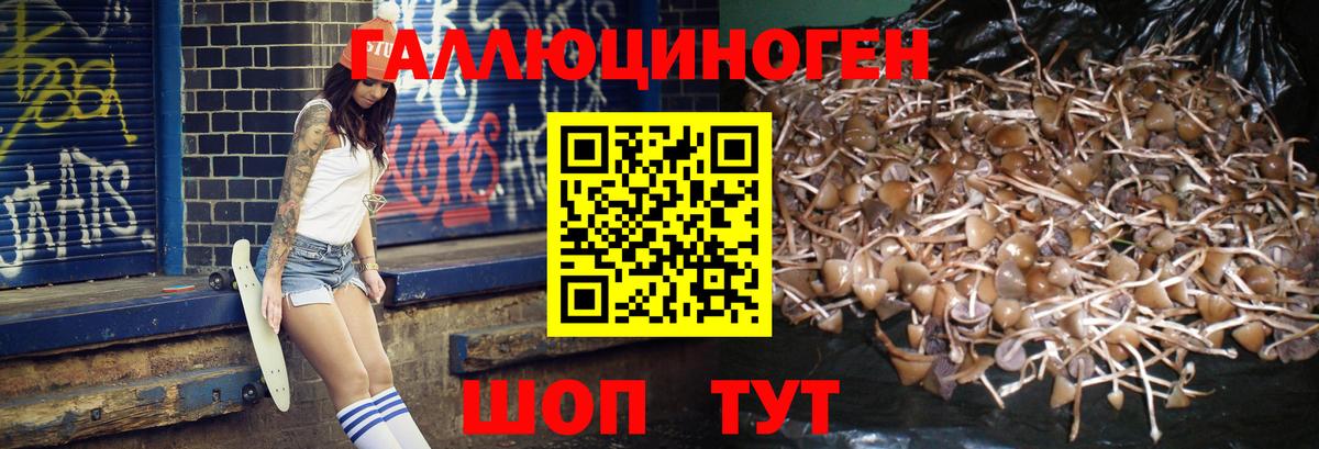 Галлюциногенные грибы прущие грибы  Вход с VPN  Саянск 